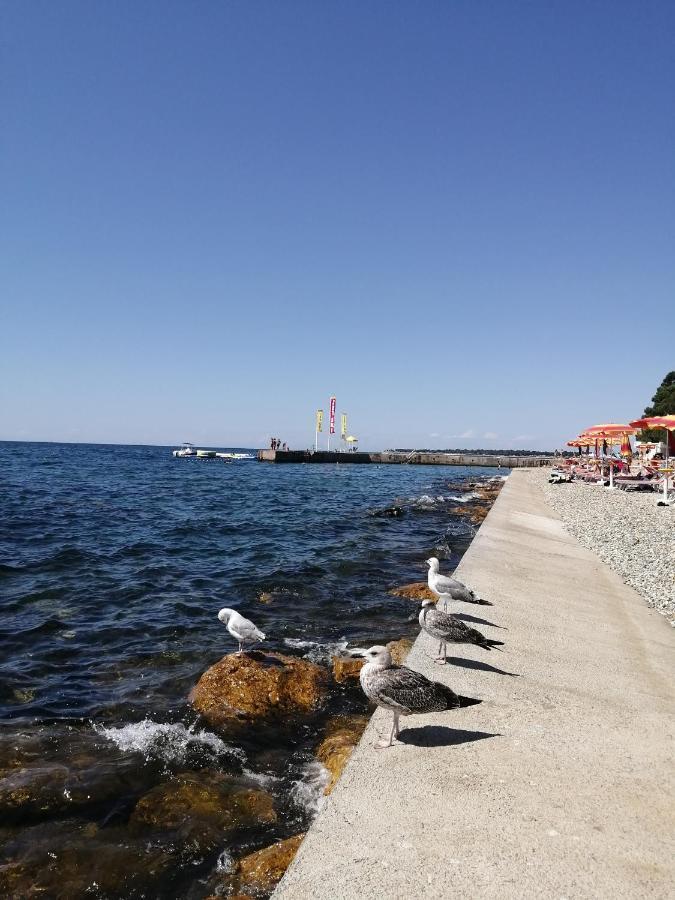 Apartments Sven-Marino Porec Exterior photo
